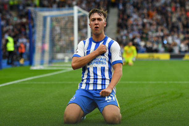 展示了出色 展示了出色