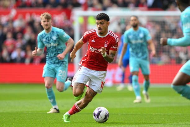 从质疑到掌 从质疑到掌