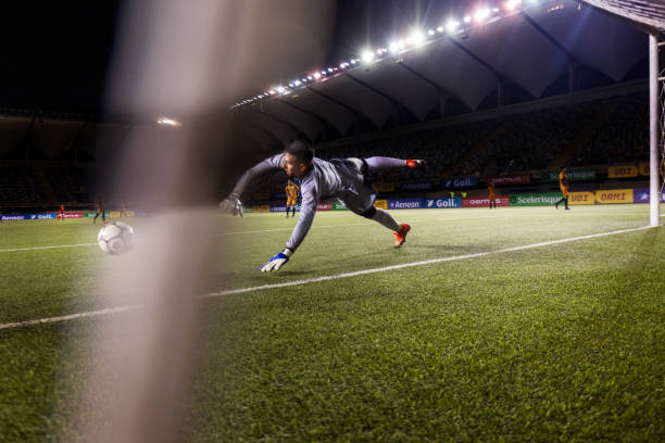 的结果显示 的结果显示